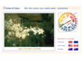 schoolofcolour.com