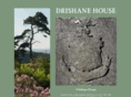drishane.com