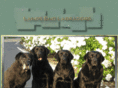 landsendlabradors.com