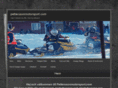 petterssonmotorsport.com