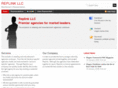 replinkllc.com