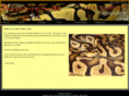 ballpythonusa.com