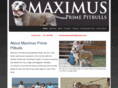 maximusprimepitbulls.com