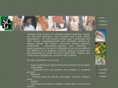 strategic-group.net