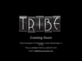 tribeconsultants.com