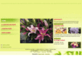 fioristailglicine.com