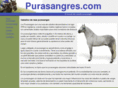 purasangres.com