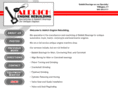 babbitt-bearings.com