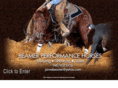 beamerperformancehorses.com