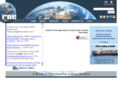 borgintl.com