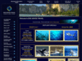 diveadvice.com