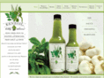 kenzoil.com