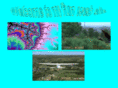 michaelthyer.com