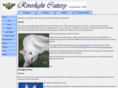 riverlightcats.com