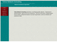 tahoenetworkconsulting.com