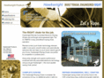 electronicropingchutes.com
