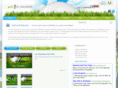 golfinelsalvador.net