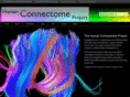 humanbrainconnectome.org