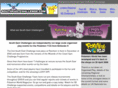 southeastchallenge.com