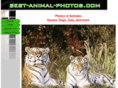 best-animal-photos.com