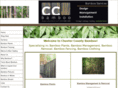 ccbamboo.com