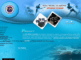 dpsmusicacademy.com