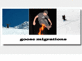 goosemigrations.com