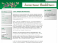americanbuddhism.com