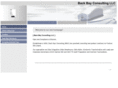 backbayconsulting.com