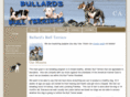 bullardsbullterriers.com