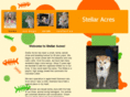 stellaracresshibainu.com