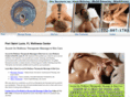 therapeuticmassageandskincare.com