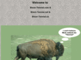 bison-tennial.com