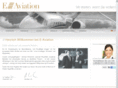 e-aviation.de