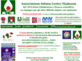 aice-epilessia.it
