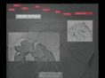 henriroger.com