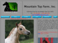 mountaintopinc.com