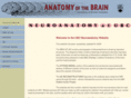 neuroanatomy.ca