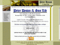 peterdyson.co.uk