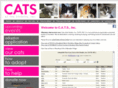 catsatthestudios.com
