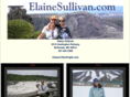 elainesullivan.com