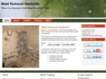 moldremovalnashville.com