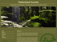 timberlandsecurity.com