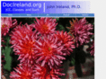 docireland.org