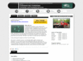 dumpsterrental-minnesota.com