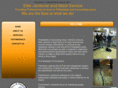 elitejanitorialandmaidservice.com
