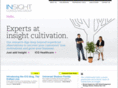 insightconsulting-group.com