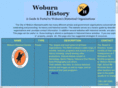 woburnhistory.com