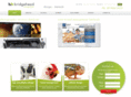 bridgeheadcreative.com.au