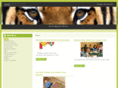 mhzooeducation.com